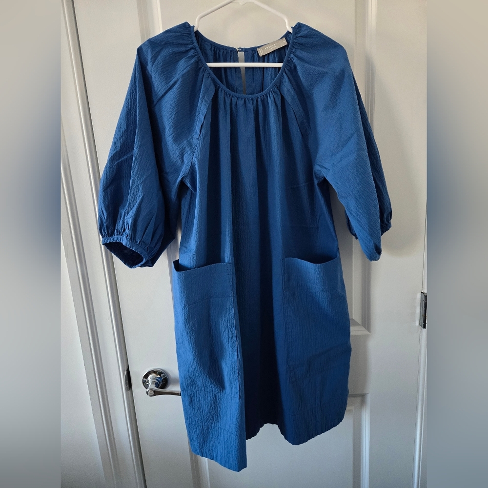 Everlane puff sleeve dress, blue, medium